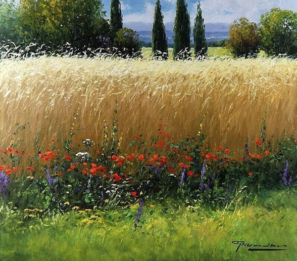 Летние пейзажи художник Gerhard Nesvadba.