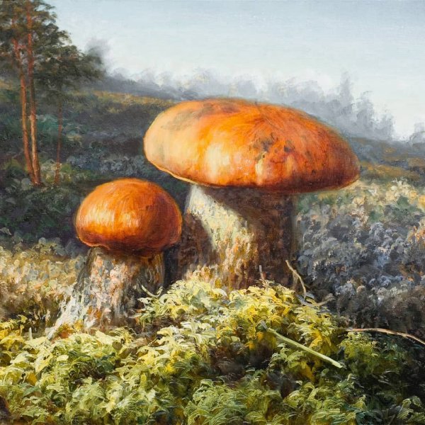 Тихов Дмитрий грибы