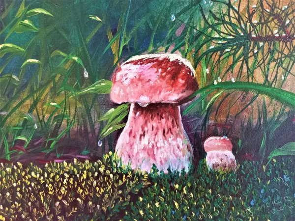 Гриб белый картина масло