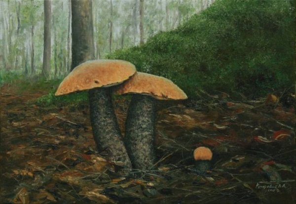 Грибы в живописи