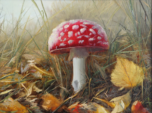 Шишкин мухоморы картина