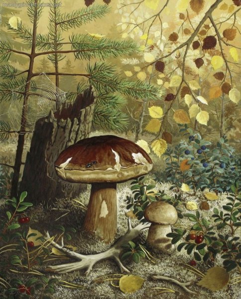 Картинаипо грибы Васнецов