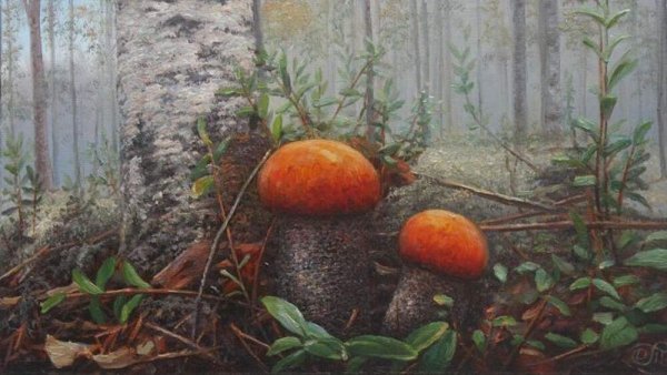 Грибы маслом