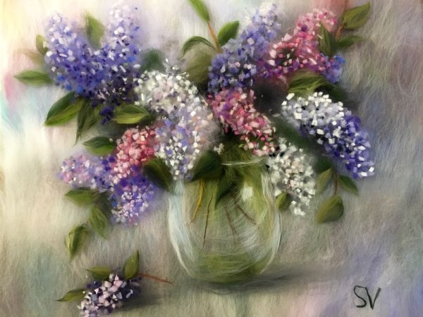 Сирень шерстью