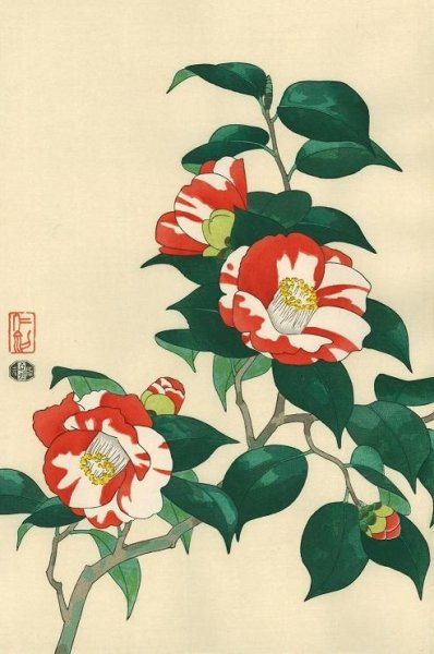 Камелия японская китайская живопись