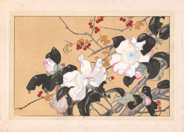 Японская Ксилография Камелия