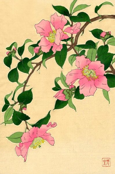 Камелия в китайской живописи