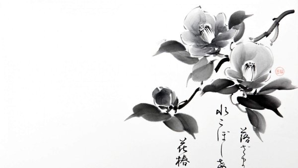 Камелия в китайской живописи