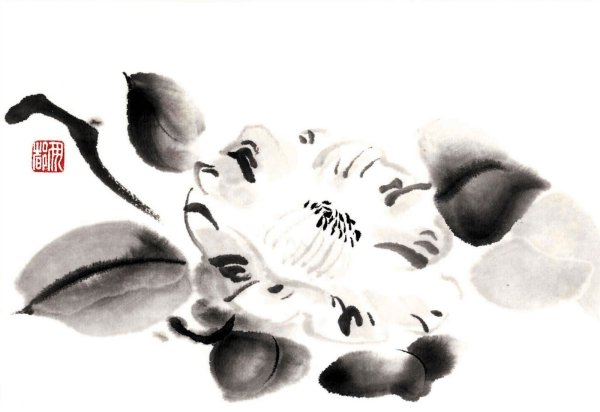 Камелия в китайской живописи