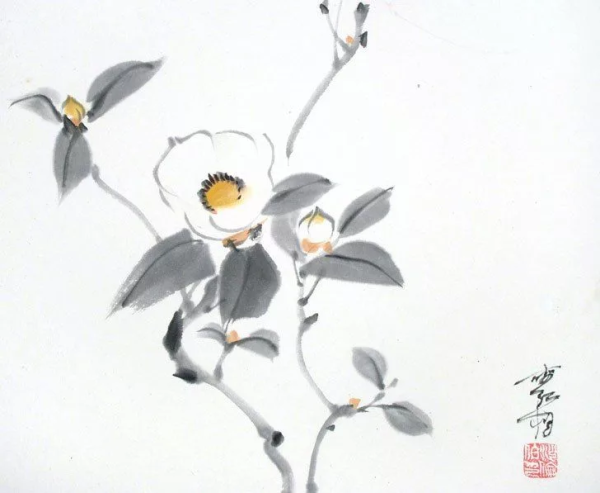 Камелия китайская живопись се и