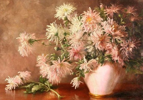 Маковский хризантемы