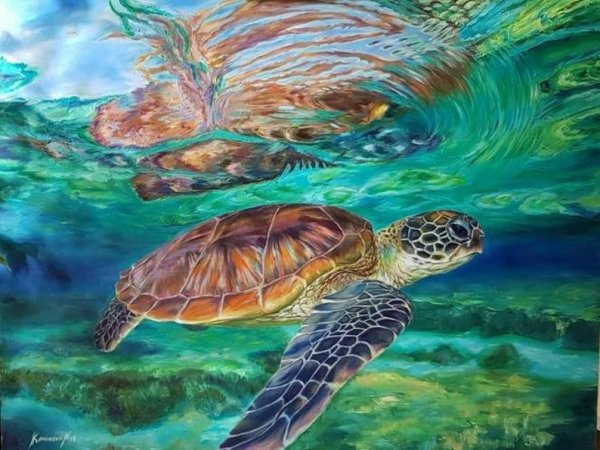 Картина черепаха