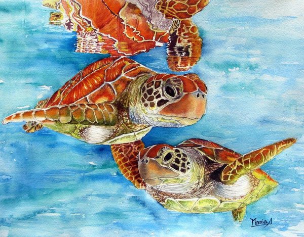 Картина черепаха