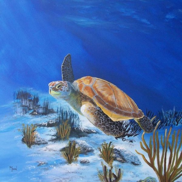 Гиперреализм черепаха живопись морская