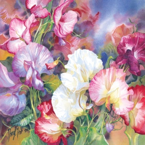 Цветы акварель художник Darryl Trott