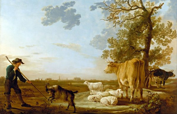 Альберт Якобс кёйп