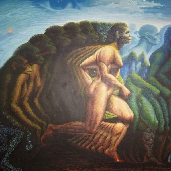 Роб Гонсалвес the Sun Sets Sail