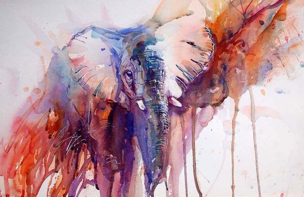 Акварели художника Jean haines