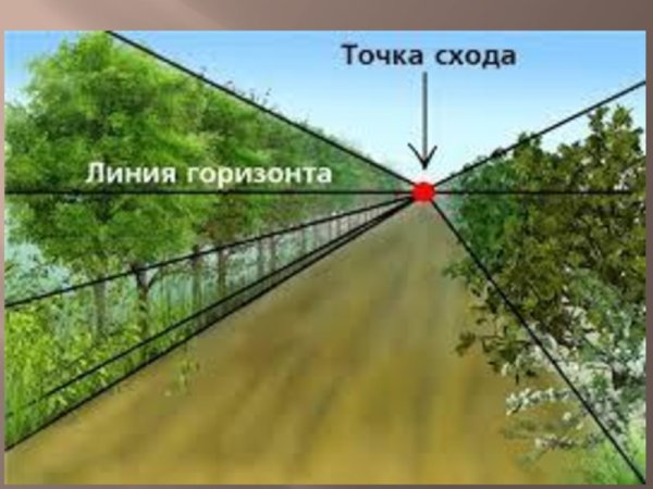 Перспектива линия горизонта точка схода