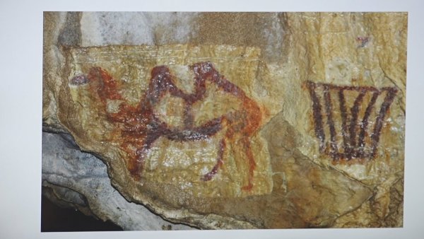 Шульган Таш верблюд