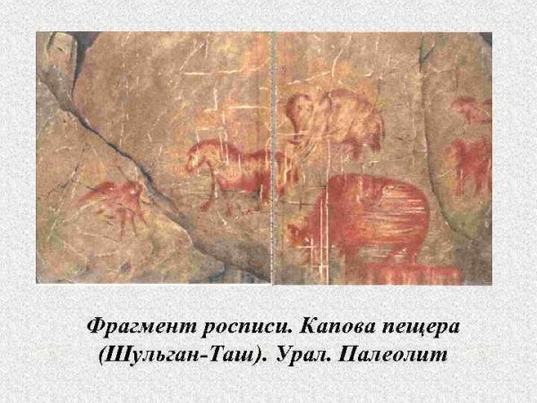 Капова пещера палеолит