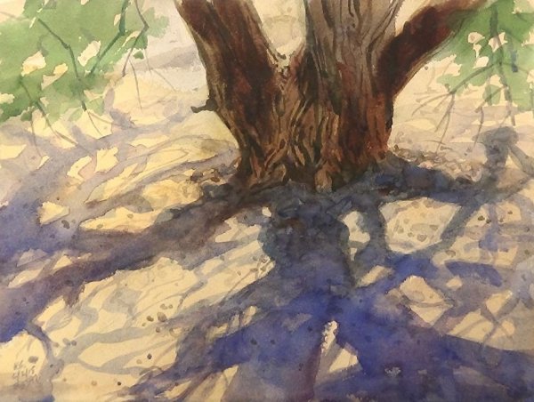 Этюд ствола дерева