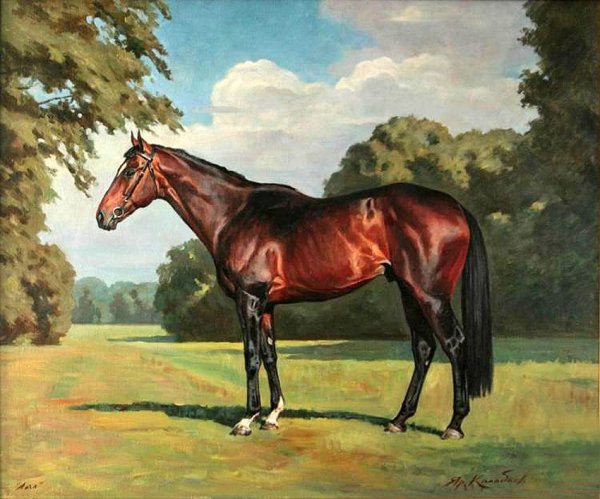 Ярослав Колобаев лошади