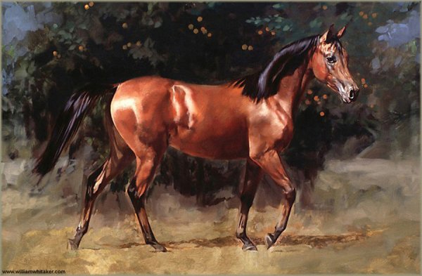 Живопись лошади в картинах художников