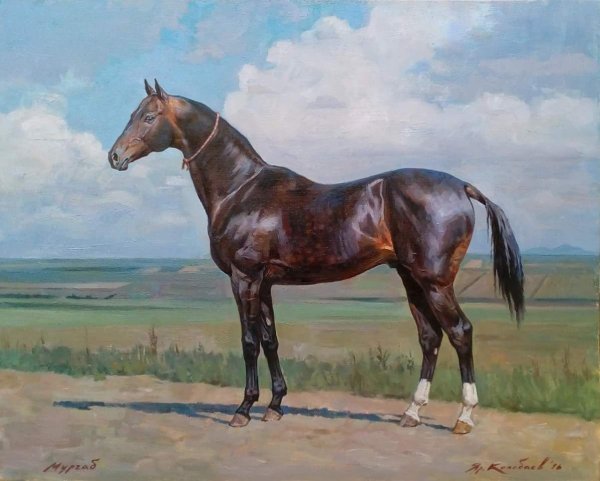 Ярослав Колобаев лошади