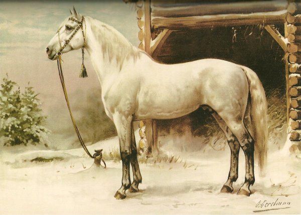 Отто Эрельман Otto Eerelman (1839-1926)