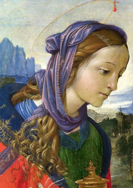 Рафаэллино дель Гарбо картины