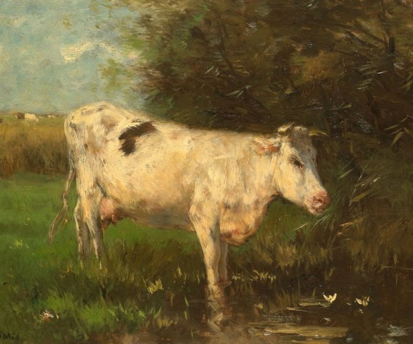 Виллем Марис