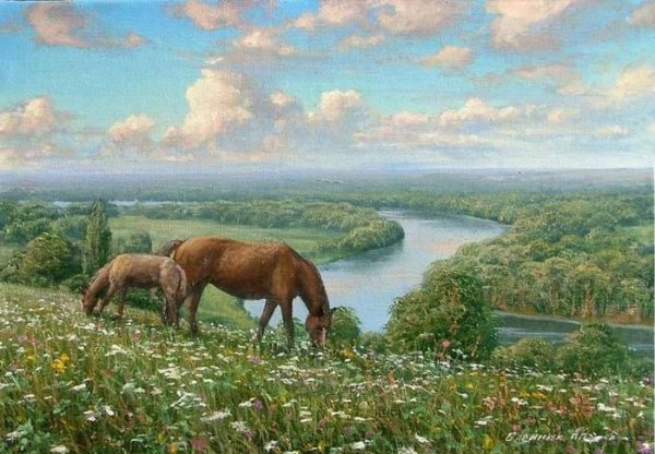 Август красота летняя