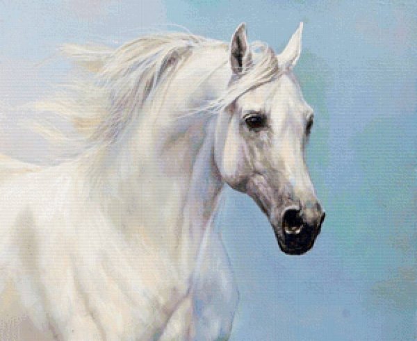Татьяна Данчурова живопись лошади