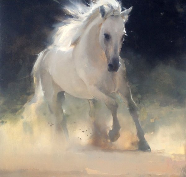Белая лошадь бежит