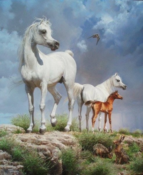 Арабский скакун картина