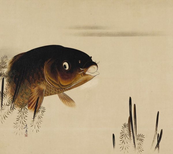 Карп старинная японская живопись