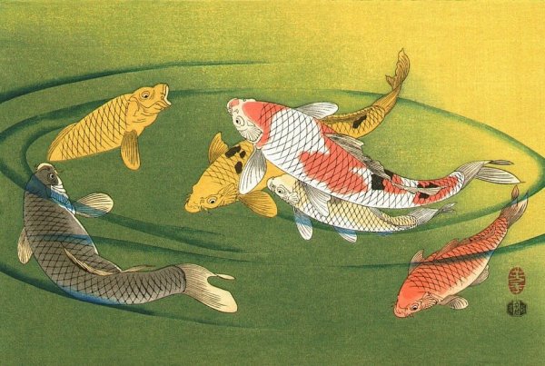 Японские Гравюры карпы кои