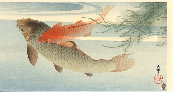 Карпы, Охара Косон