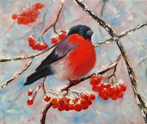 Снегирь живопись Мария Павлова