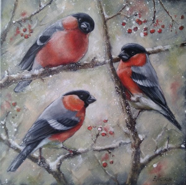 Снегири на ветке