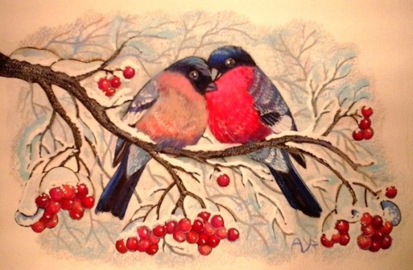 Влюбленные Снегири