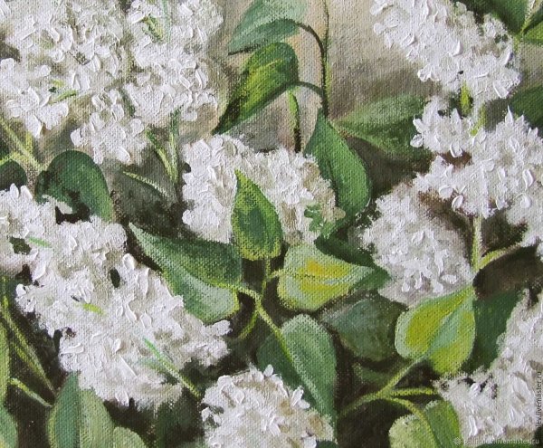 Мане белая сирень стеклянной вазе