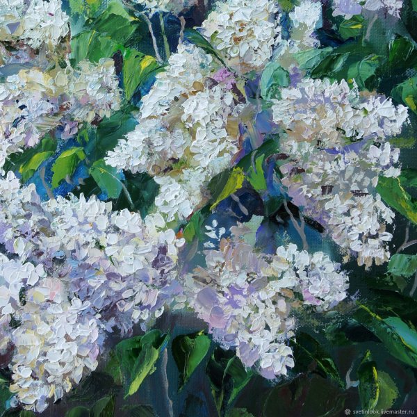 Сирень Антонина Мельник