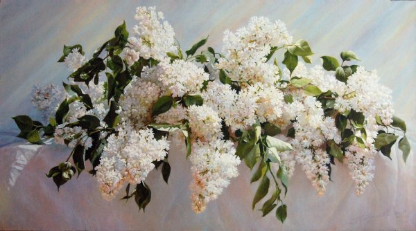 Букет белой сирени в живописи