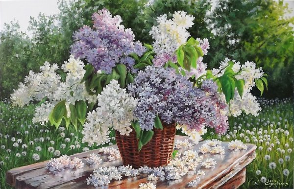 Самарская Елена Михайловна