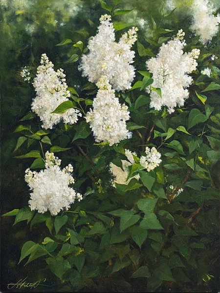 Альфия Пономаренко