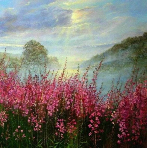 Картины художников с кипреем(Иван-чай)