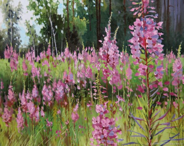 Картины художников с кипреем(Иван-чай)