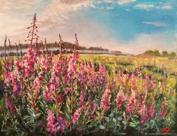 Иван чай живопись